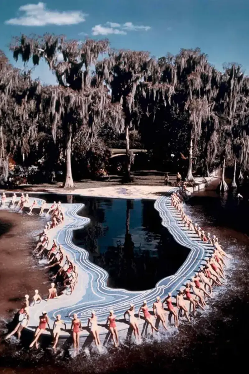 4/9 Cypress Gardens di Winterhaven, in Florida, 1953. Immagine di  Michael Ochs