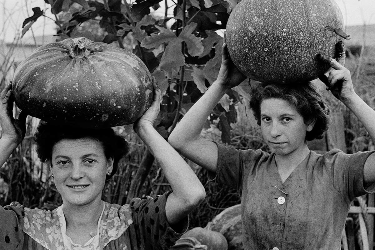 ‘Le zucche, d’estate sono mangime, d’inverno cibo’, fotografia di Ando Gilardi, Qualiano (Napoli), ottobre 1954. Immagine Fototeca Gilardi