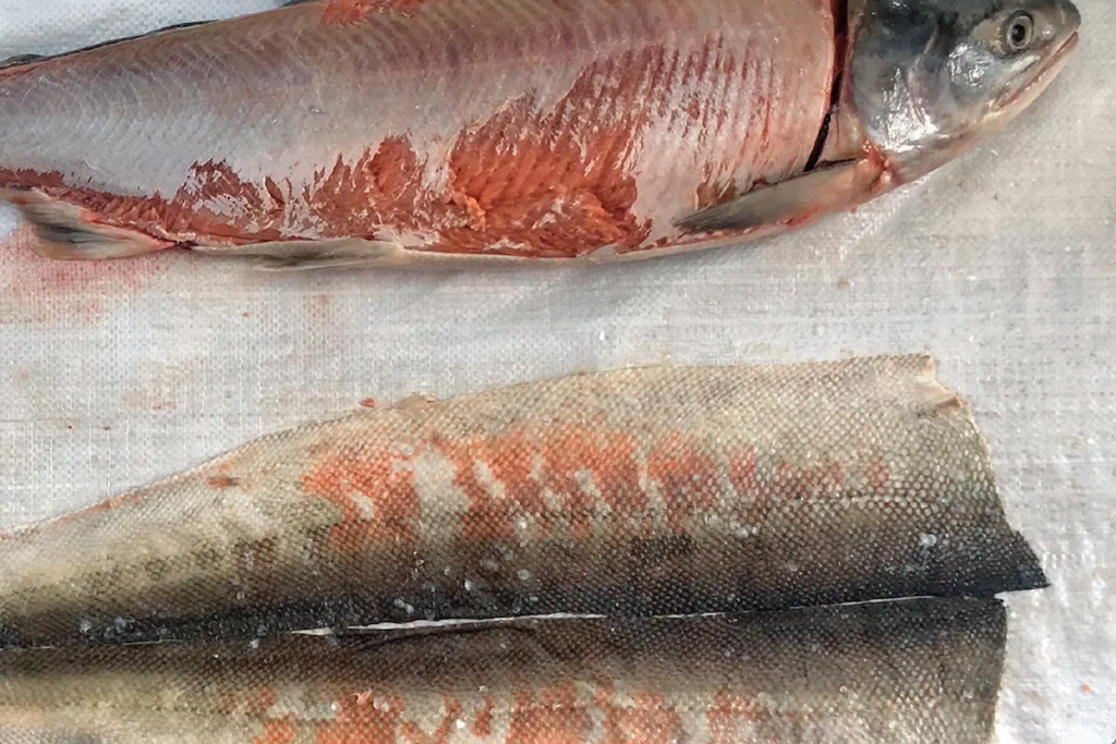 HEZHE FISH SKIN WORKSHOP. Salmon skin