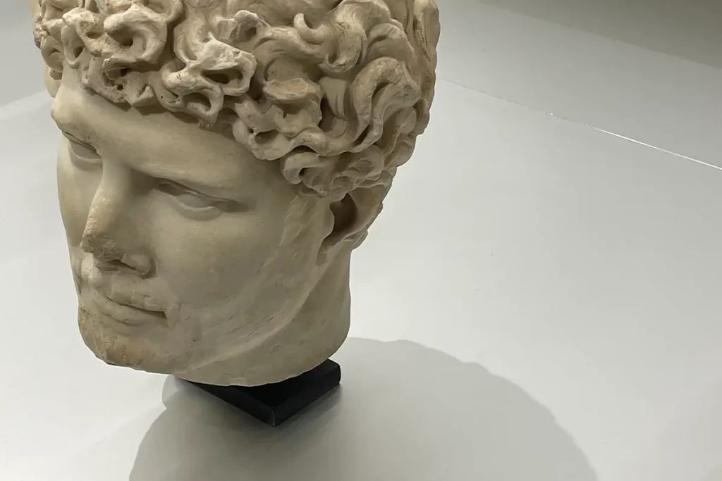 Particolare di una testa di statua romana