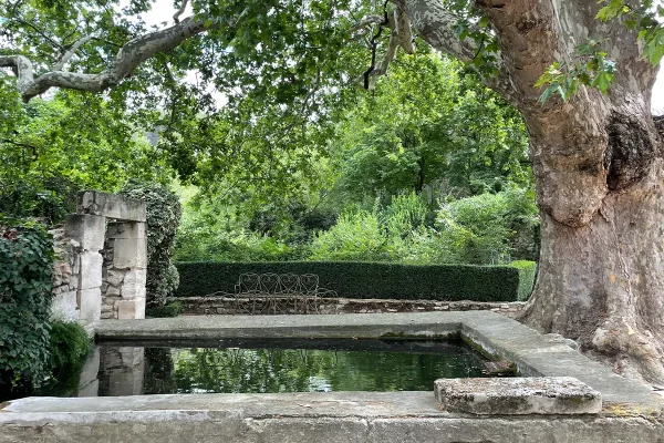 Baumanière Le Manor - la vasca in pietra sotto i platani
